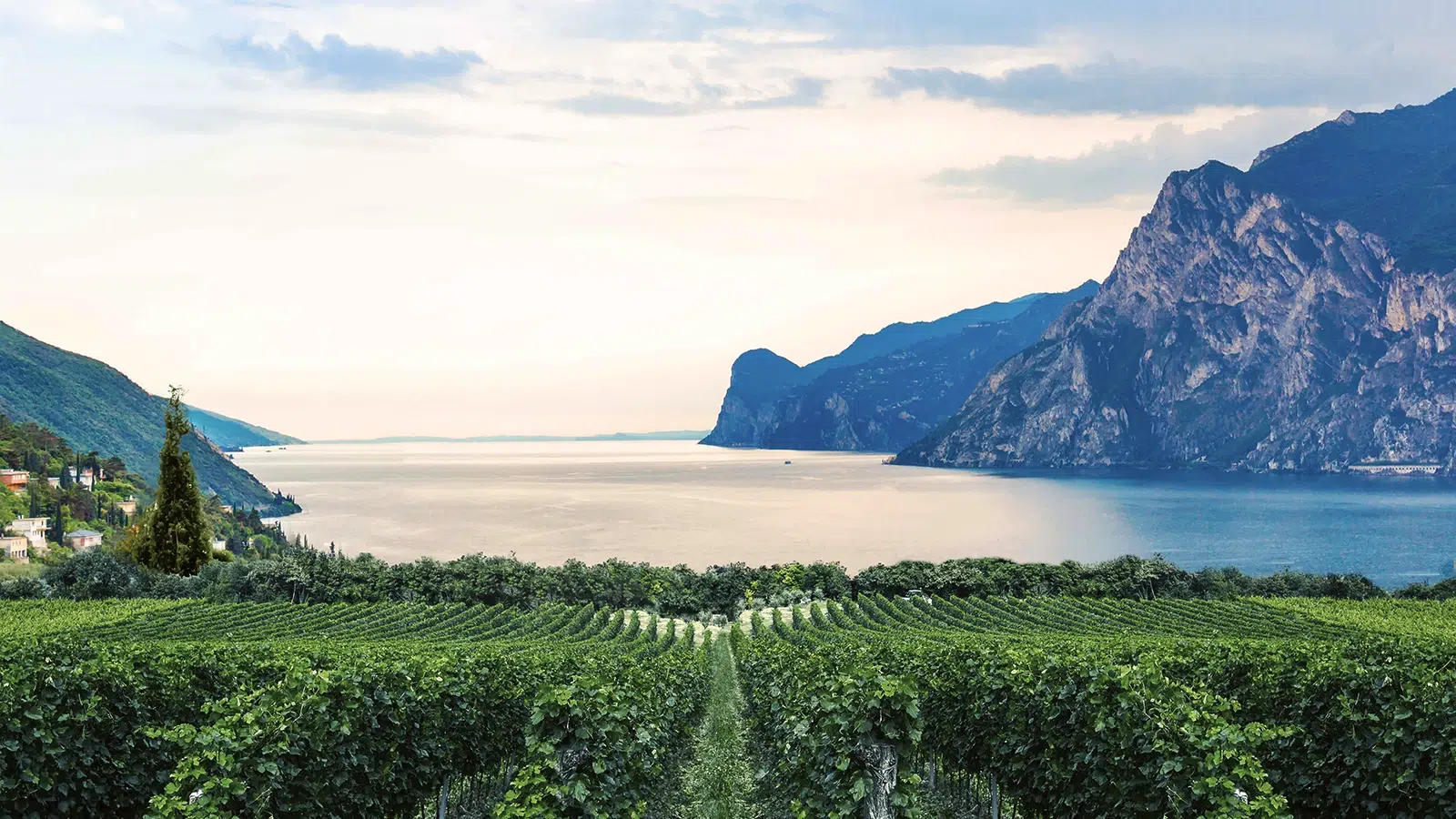 lake garda wines