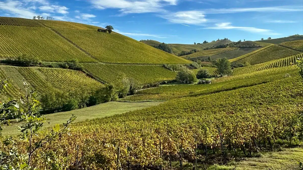 tenuta frecciarossa